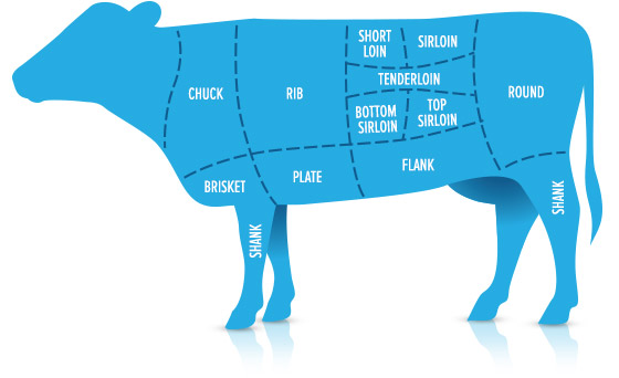 Схема говядины