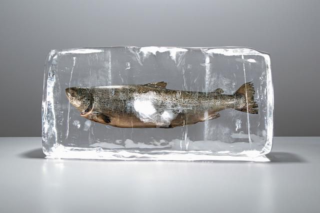 сонник замороженная рыба