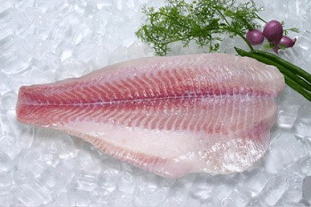 Химический состав и пищевая ценность пангасиуса - ценнейшей породы рыб