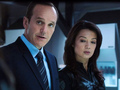 Coulson and May ღ - agent-phil-coulson photo