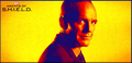 Director Phil Coulson - Season 3 - agent-phil-coulson photo