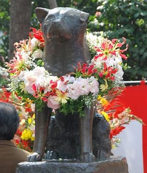 Памятник Хатико в японии