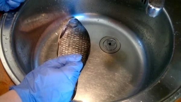 Чистка рыбы в раковине в перчатках