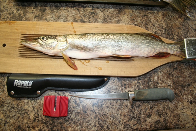филейный нож для рыбы