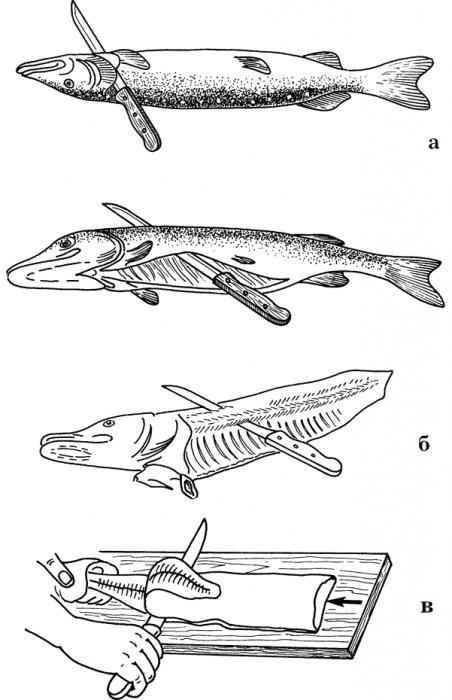 Разделка рыбы схема 