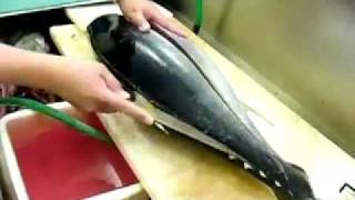 Разделка рыбы. Японская разделка тунца на сашими