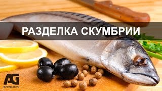 Как разделать скумбрию